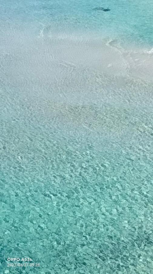 リド・マリーニAcquarioアパートメント エクステリア 写真